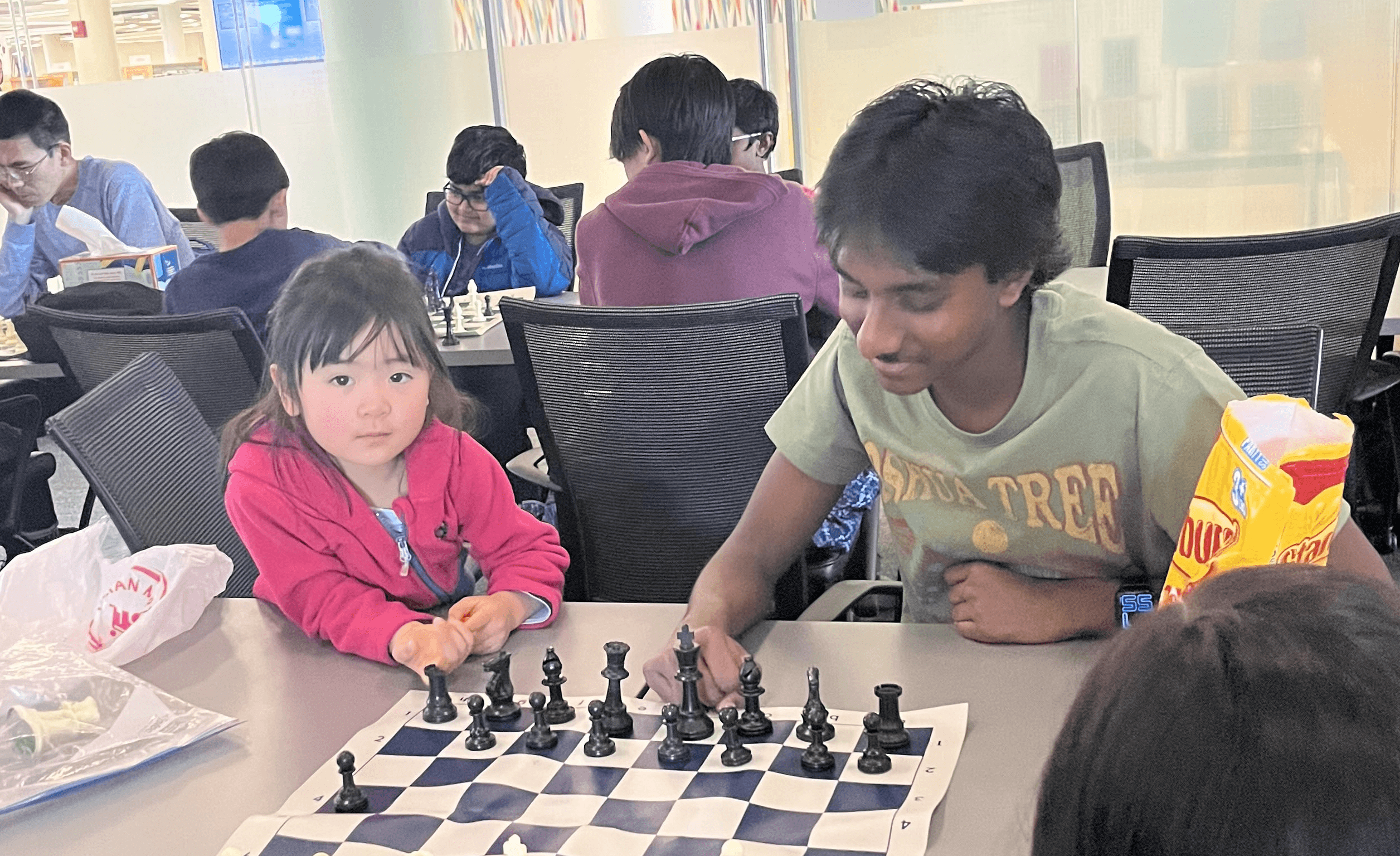 Slide 03-chess-class.png